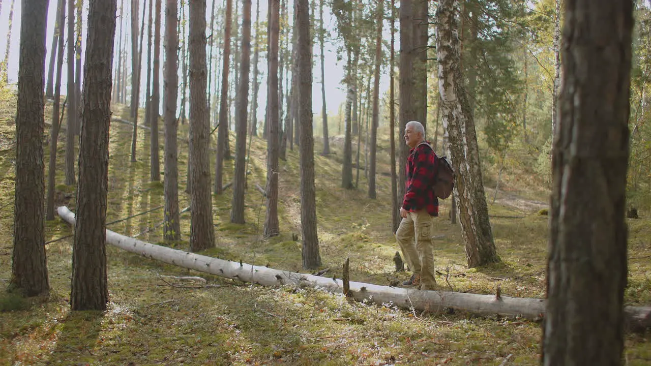 Ein Forscher Mittleren Alters Spaziert Durch Einen Ruhigen Und Warmen Herbsttag Mit Strahlendem Sonnenschein Im Wald Entspannt Sich Und Genießt Die Natur