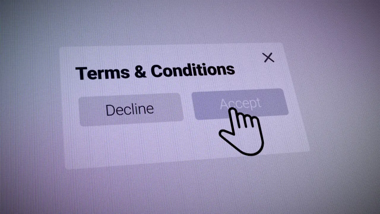 The mouse cursor slides over and clicking the Accept the terms and conditions box on the web page