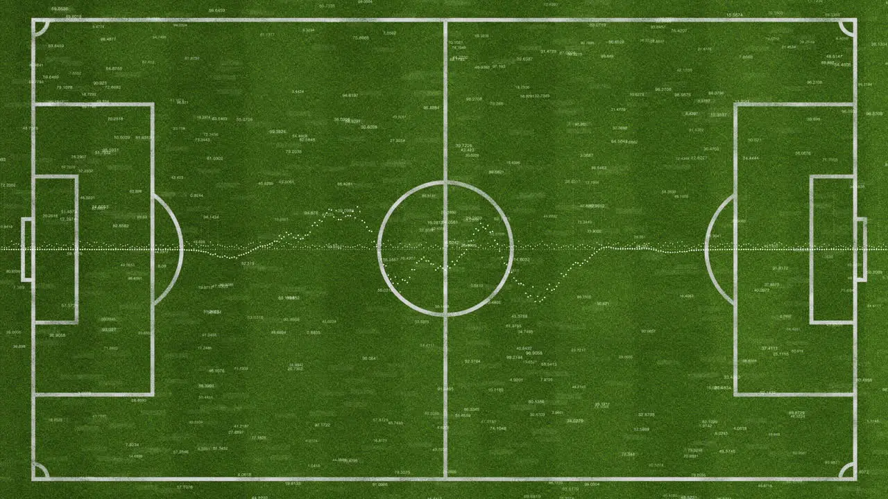 Soccer field white markings used for strategy tactic or statistics