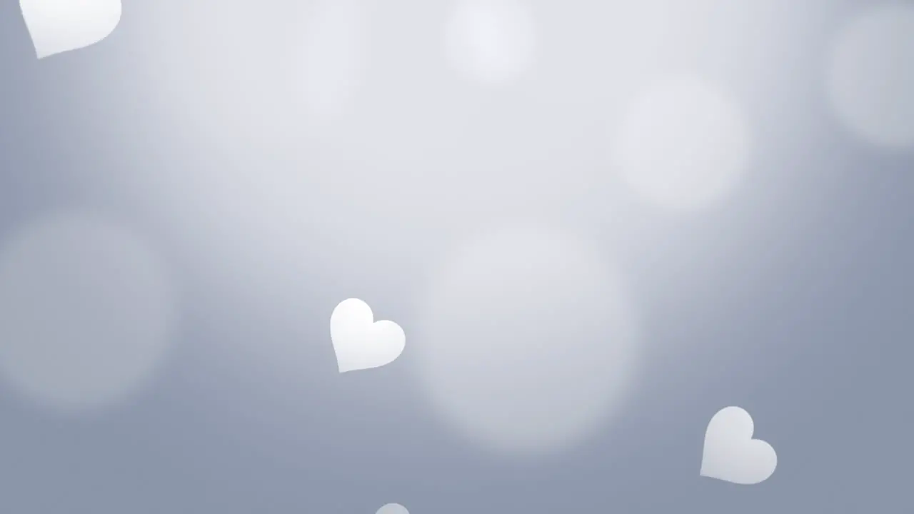 Valentines day shiny background Animation romantic heart 47