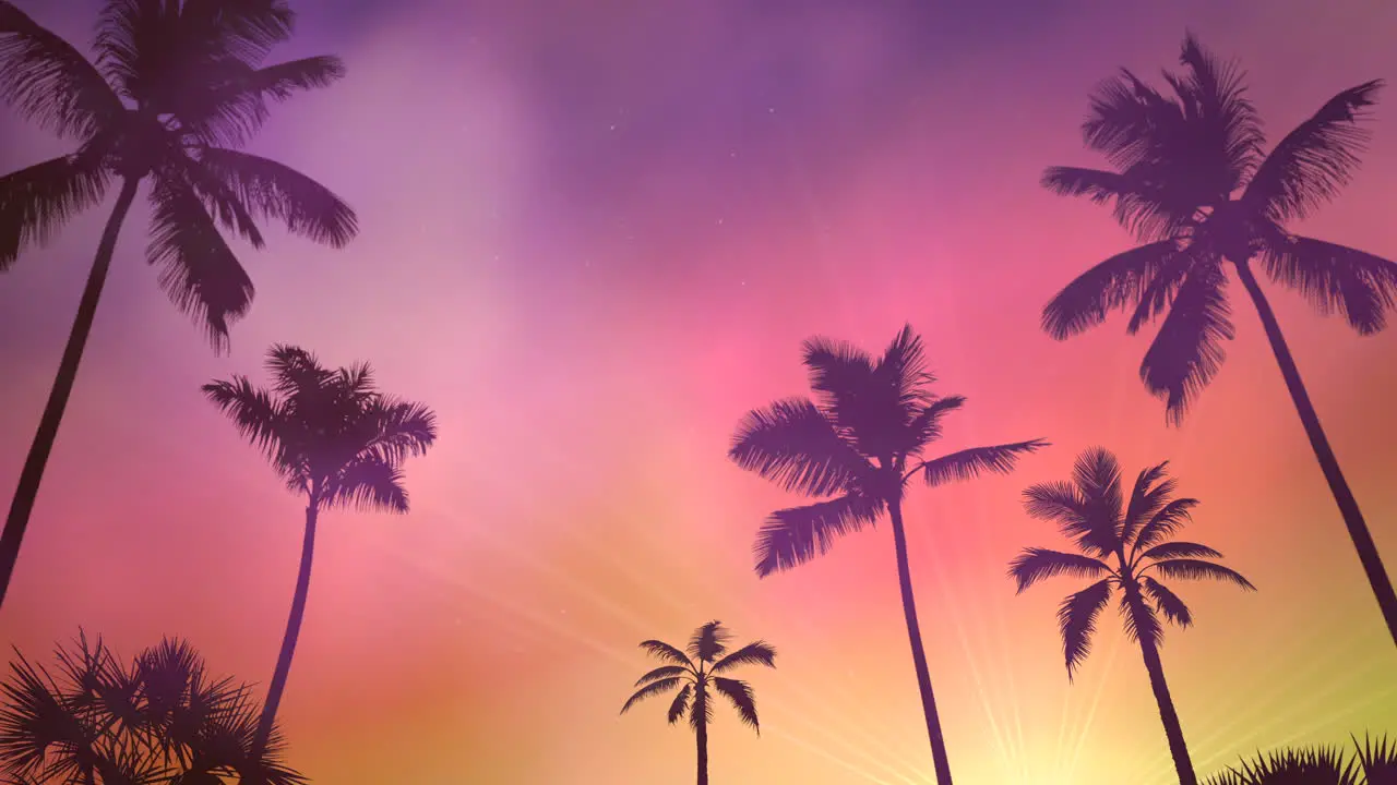 Panoramic view of tropical landscape with palm trees and sunset