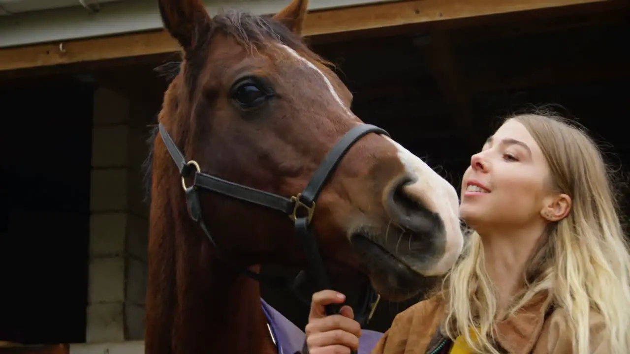 Woman kissing horse in stable 4k