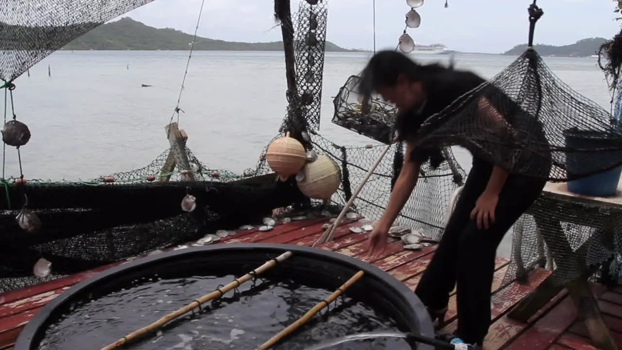 Bora Bora showing equipment for pearl culture