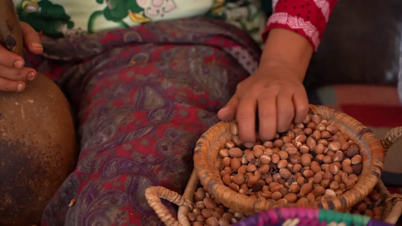 Selecting the hazelnuts almonds in order to produce argan oil in Morocco