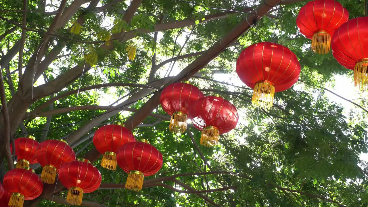 Red lantern in row with background green