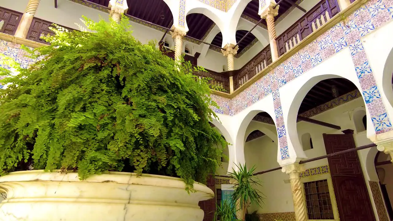 fountain with a green plant in the middle of the royal palace