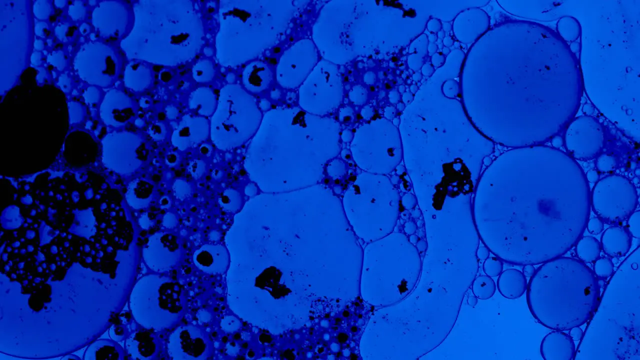 blue abstract background with oil drops and black ink spots floating on a liquid like bacteria