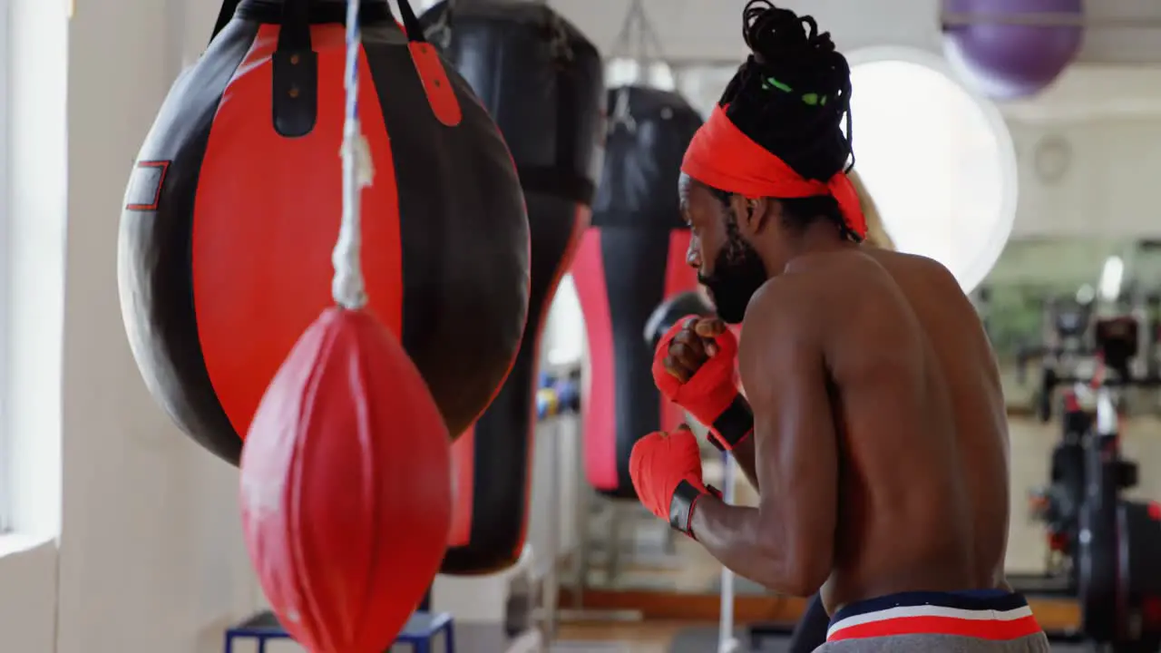 Male boxer and female boxer boxing in fitness studio 4k