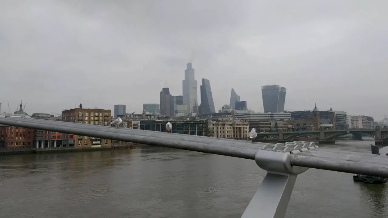 City of London view from millennium bridge with seagulls sitting on the bridge