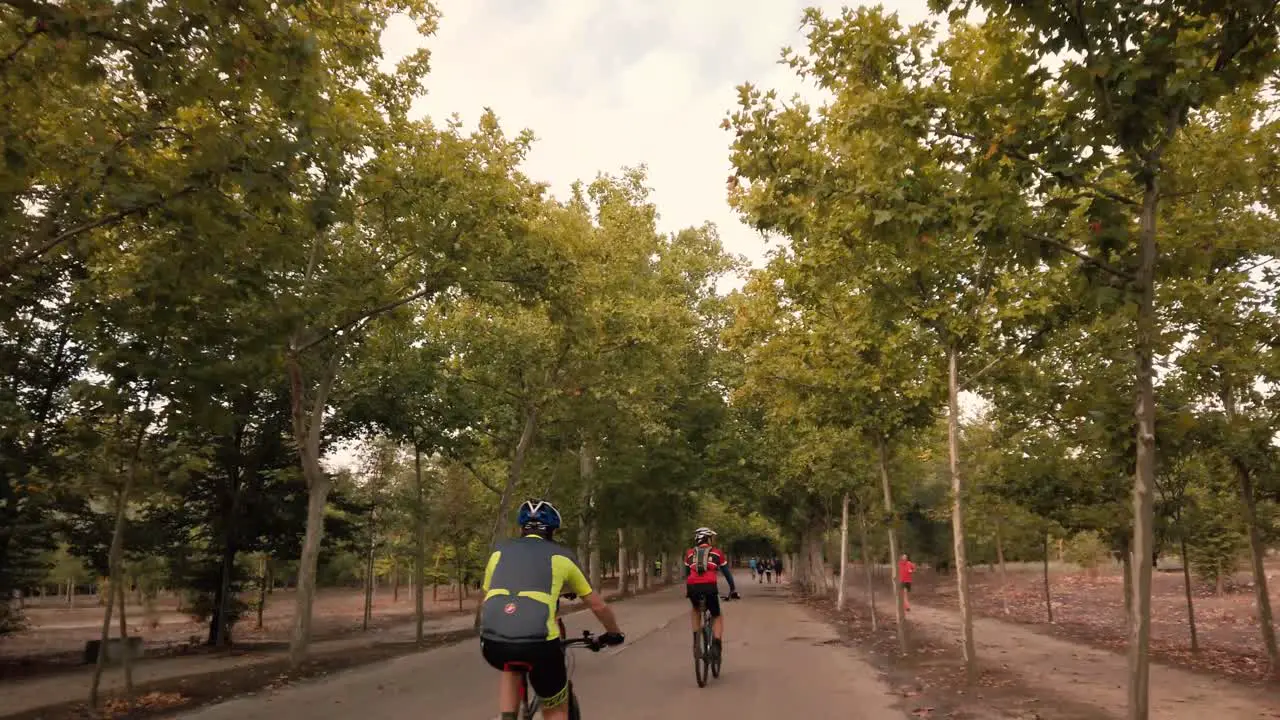 A group of cyclists overtaking the camera in a city park