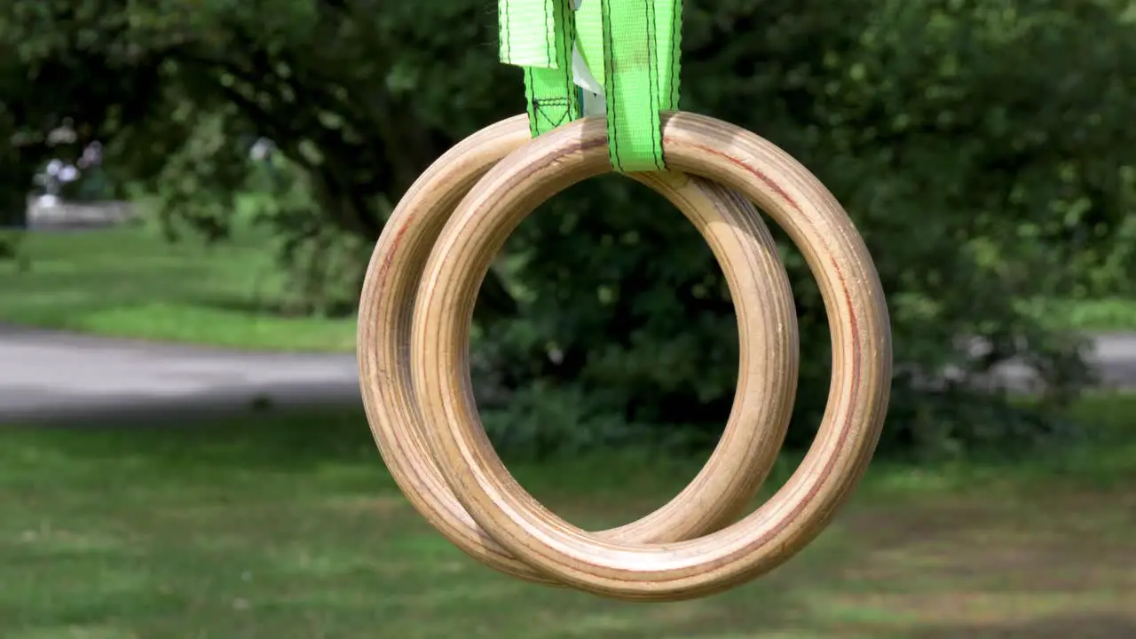 Crossfit and Gymnastic rings hanging from a tree in a park