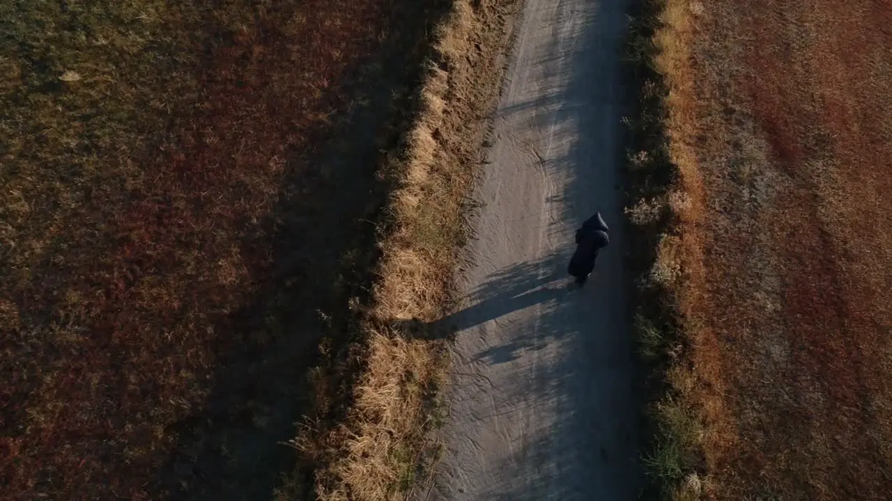 Aerial shot following a monk from behind walking on a trail