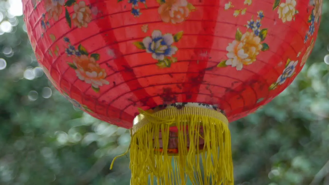 Close up of a Chinese lantern with tree in background