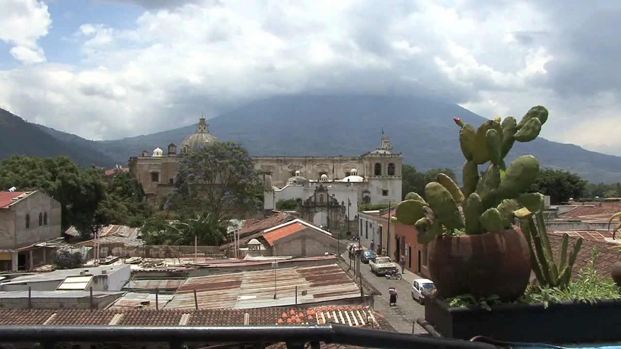 Antigua view with cactus