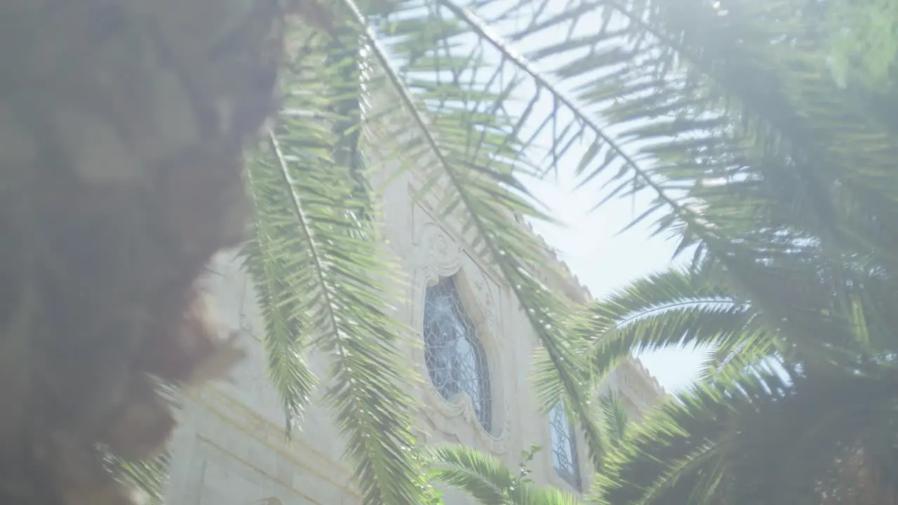 Mid shot of ornate church window through exotic palm trees