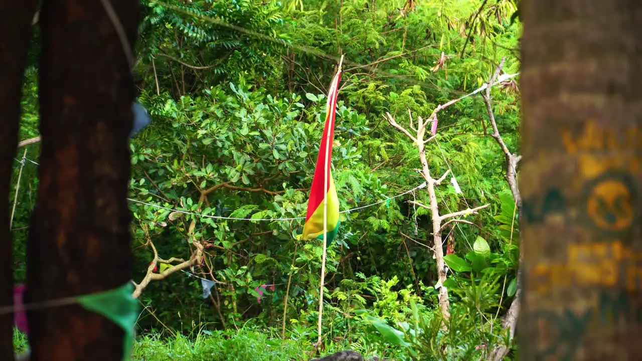 The flag of the Rastafari flies amongst some trees on Koh Phi Phi Island in Thailand