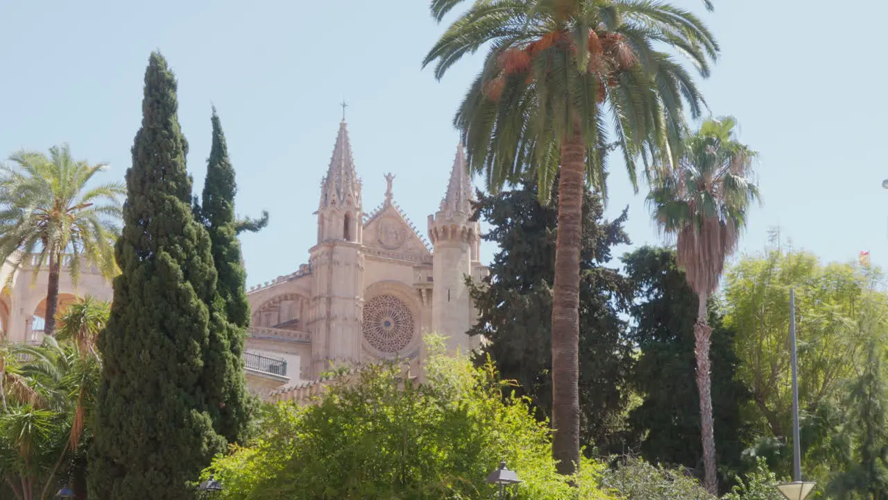 The majestic Catedral-Basílica de Santa María de Mallorca framed by trees and palms in the foreground basking in the glow of the sunshine