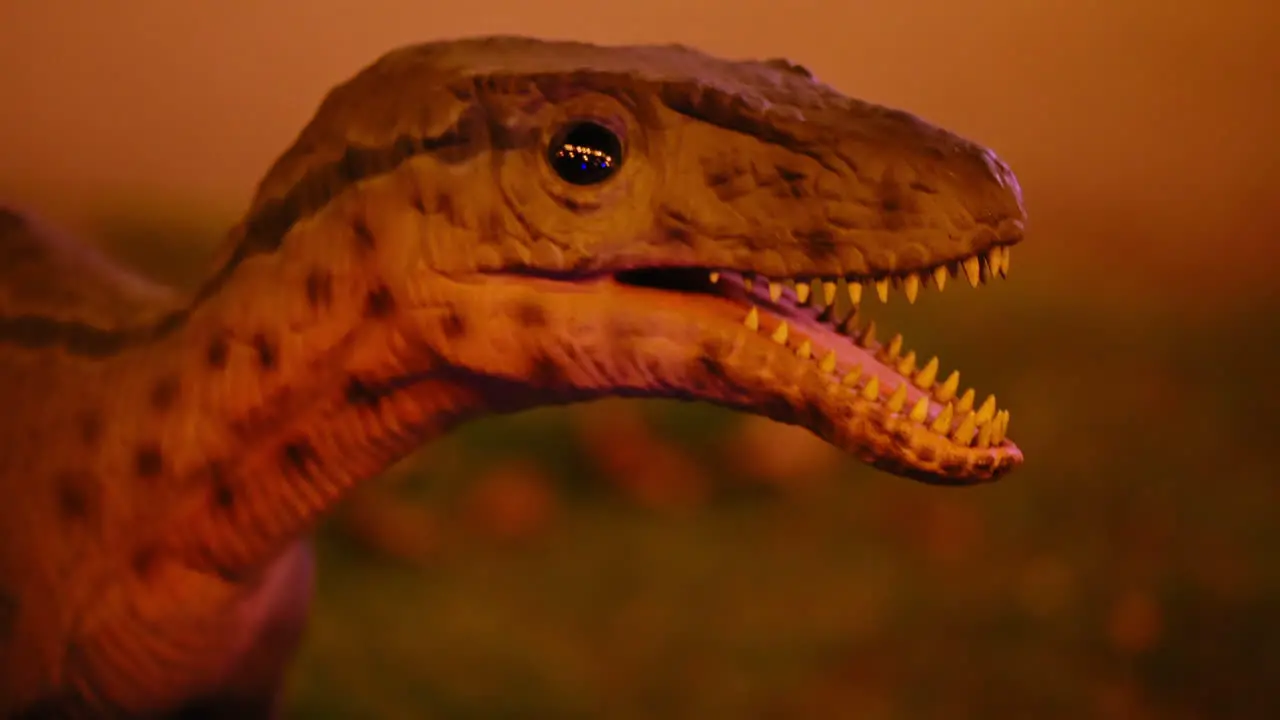 Robot of the head of a little predator dinosaur moving in natural history museum