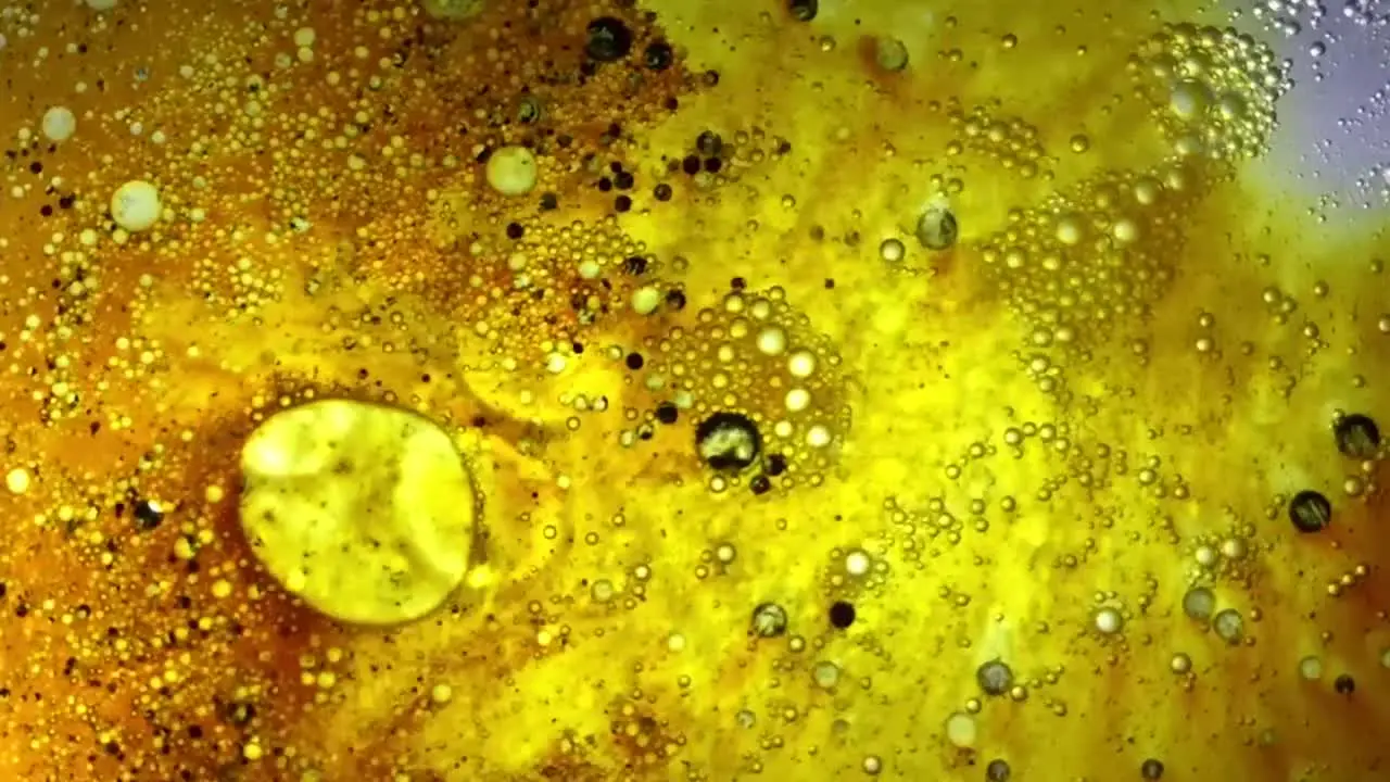 The combination of water oil and gouache paint creates something like a microscopic image