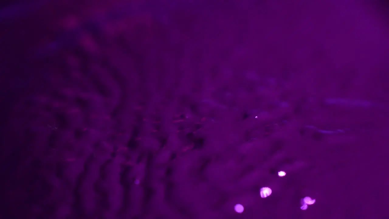 abstract Macro Shot of Magnetic Liquid Ferrofluid spikes appearing and disappearing