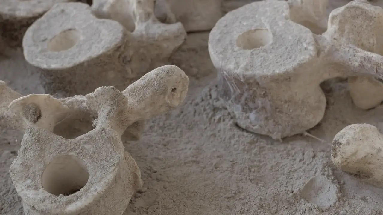 Panning shot over detail human bones in dust