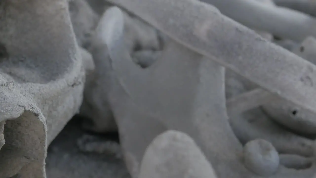 Panning shot over human bones and skull detail