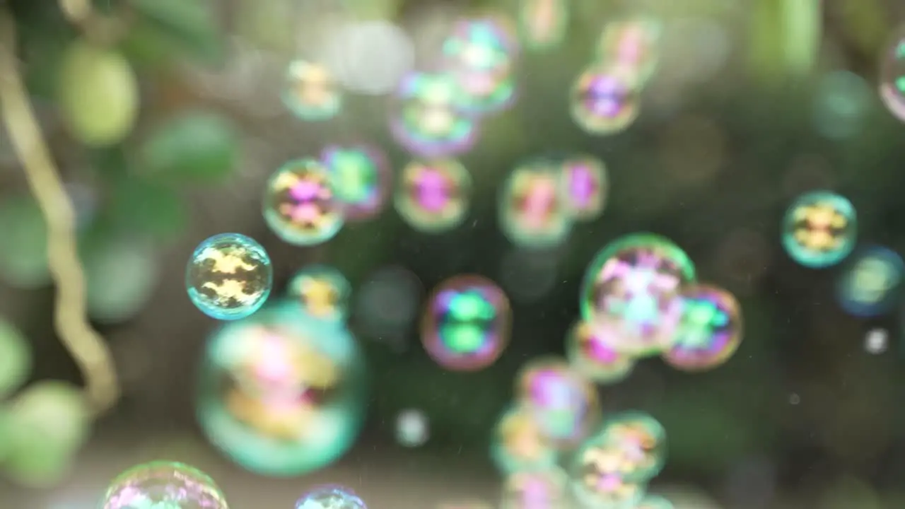 Bubbles Blowing Upwards infront of Camera