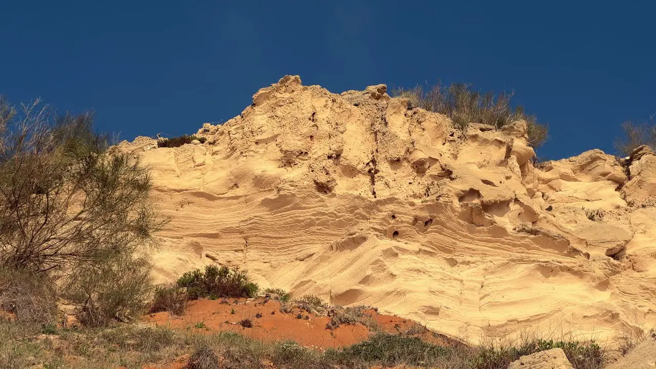 Cliffs and vegetation at sunset camera trucking right day