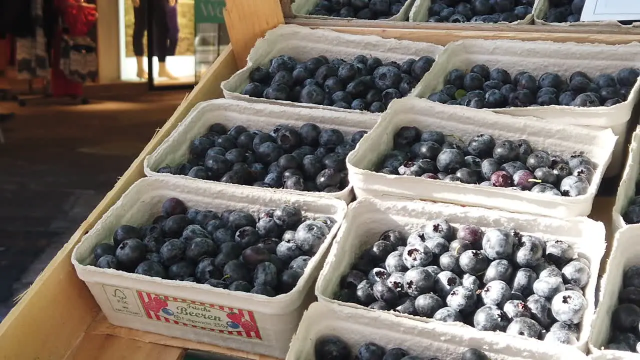 Fresh blueberries in the box display in Feldkirch Town Saturday Market