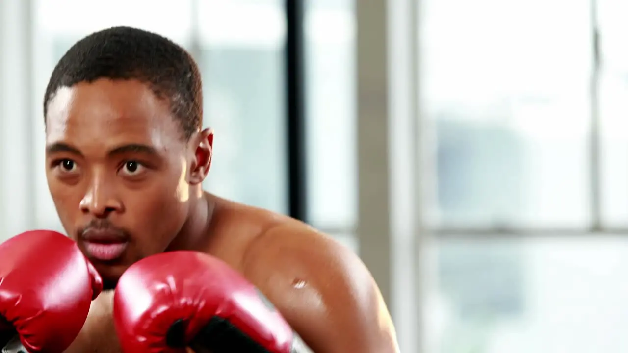 Fit man boxing with gloves