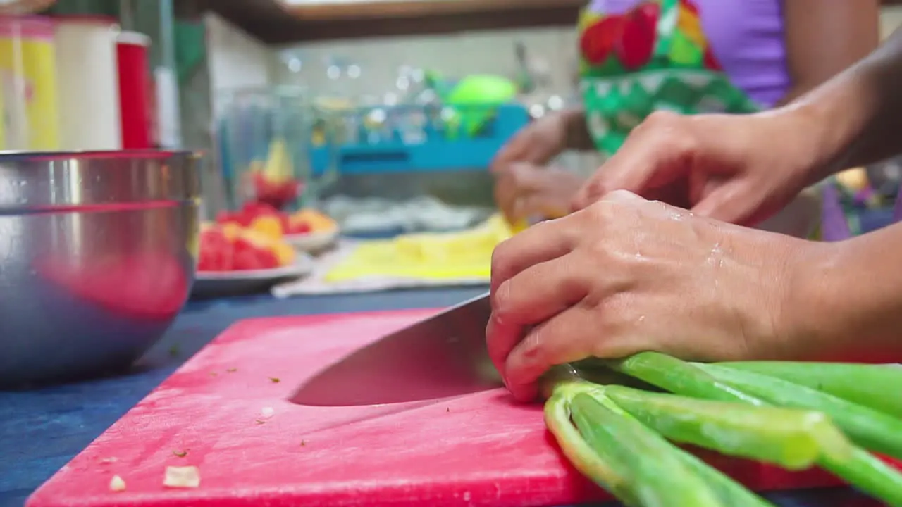 Close up of a woman’s hands and a knife cutting up colorful fruit and vegetables in Punta Banco Costa Rica