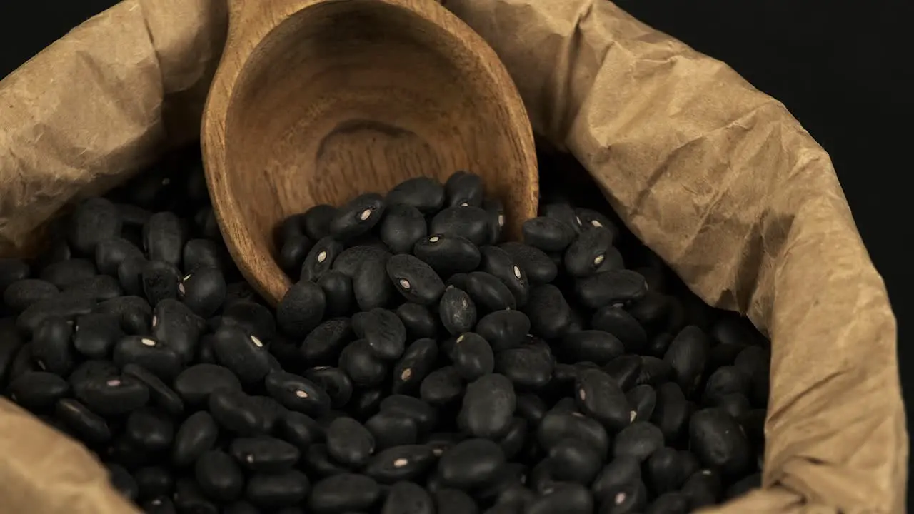 Rich dried Black Turtle Beans in bag with wooden spoon close rotating