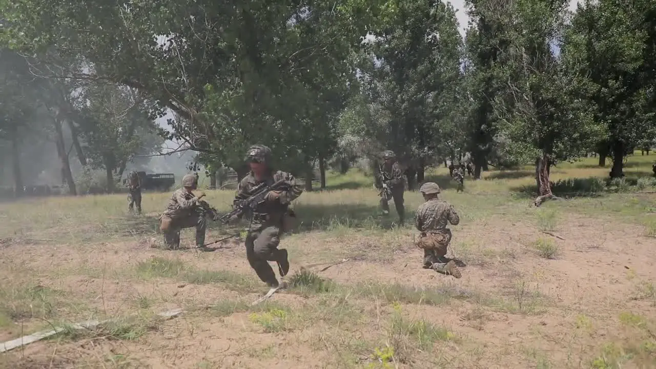 Camouflaged Soldiers 2Nd Marine Logistics Group Conduct Platoon Range Movement Military Training Exercise Sea Breeze 21