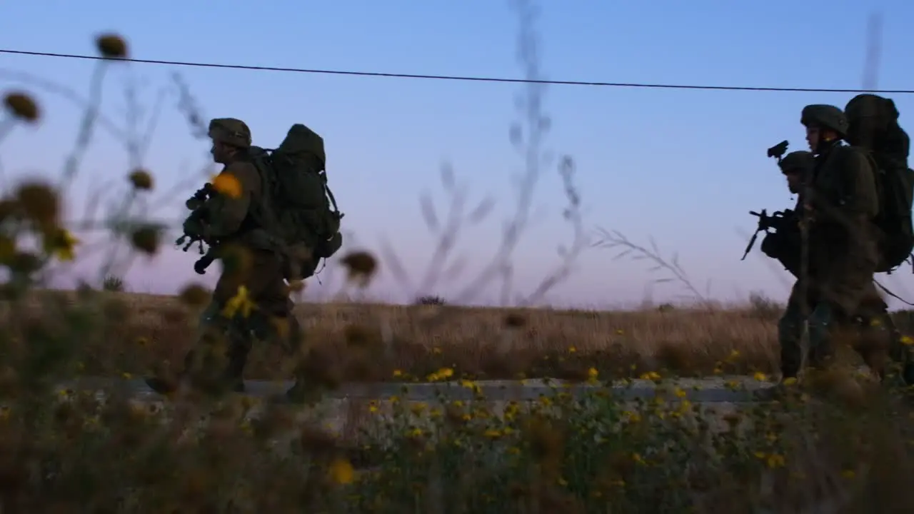 A silhouette of combat soldiers walking with equipment in the sunset while in the foreground there are some flowers