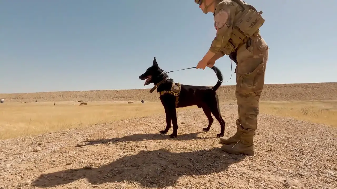 Us Soldiers 2th Infantry Division And Military Working Dogs Conduct A Team Livefire Exercise At Al Asad Air Base Iraq 6