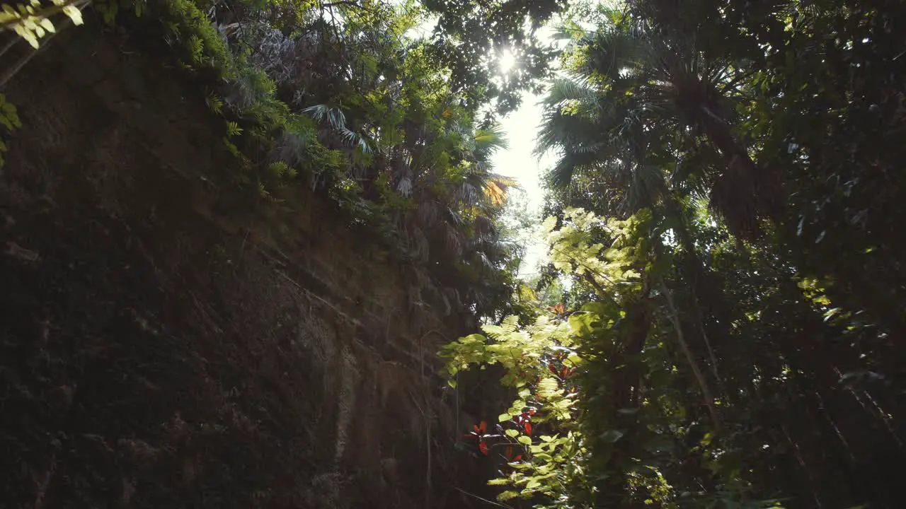 Fort Hamilton Bermuda with footpath around fort walls tropical foliage palm trees vines and lens flare on a bright sunny day