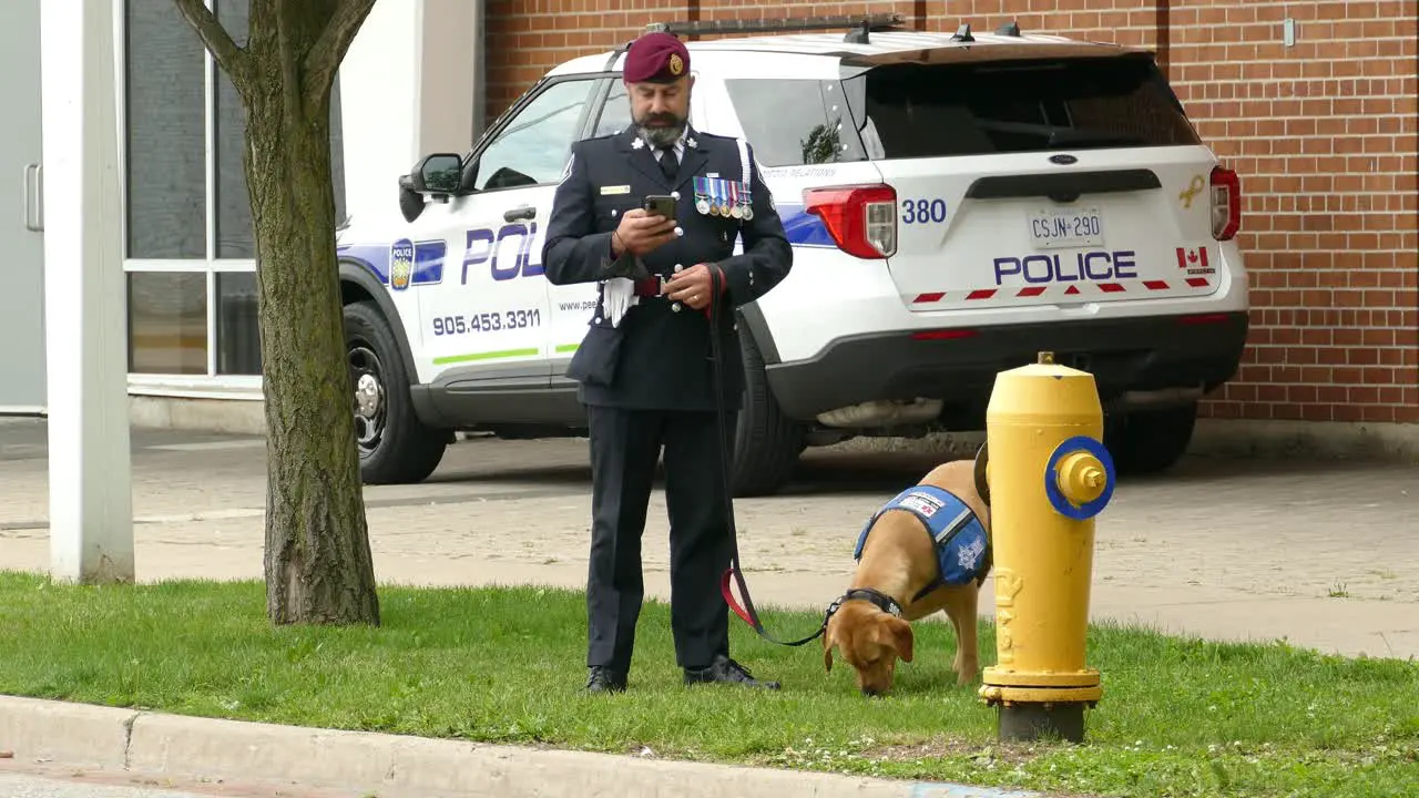 Police Officer With Labrador Dog At The Memorial Park In Toronto Canada