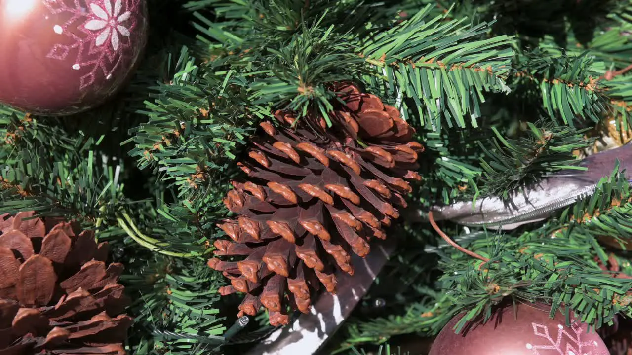 Christmas dry pine cones and red balls ornament decorations are seen hang from a decorated Christmas pine tree