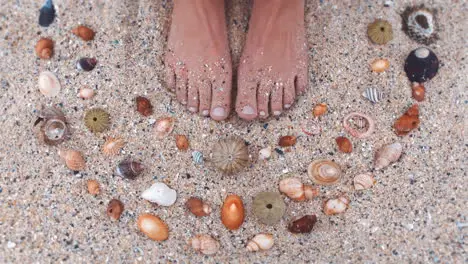 Woman feet on the sand with sea shells