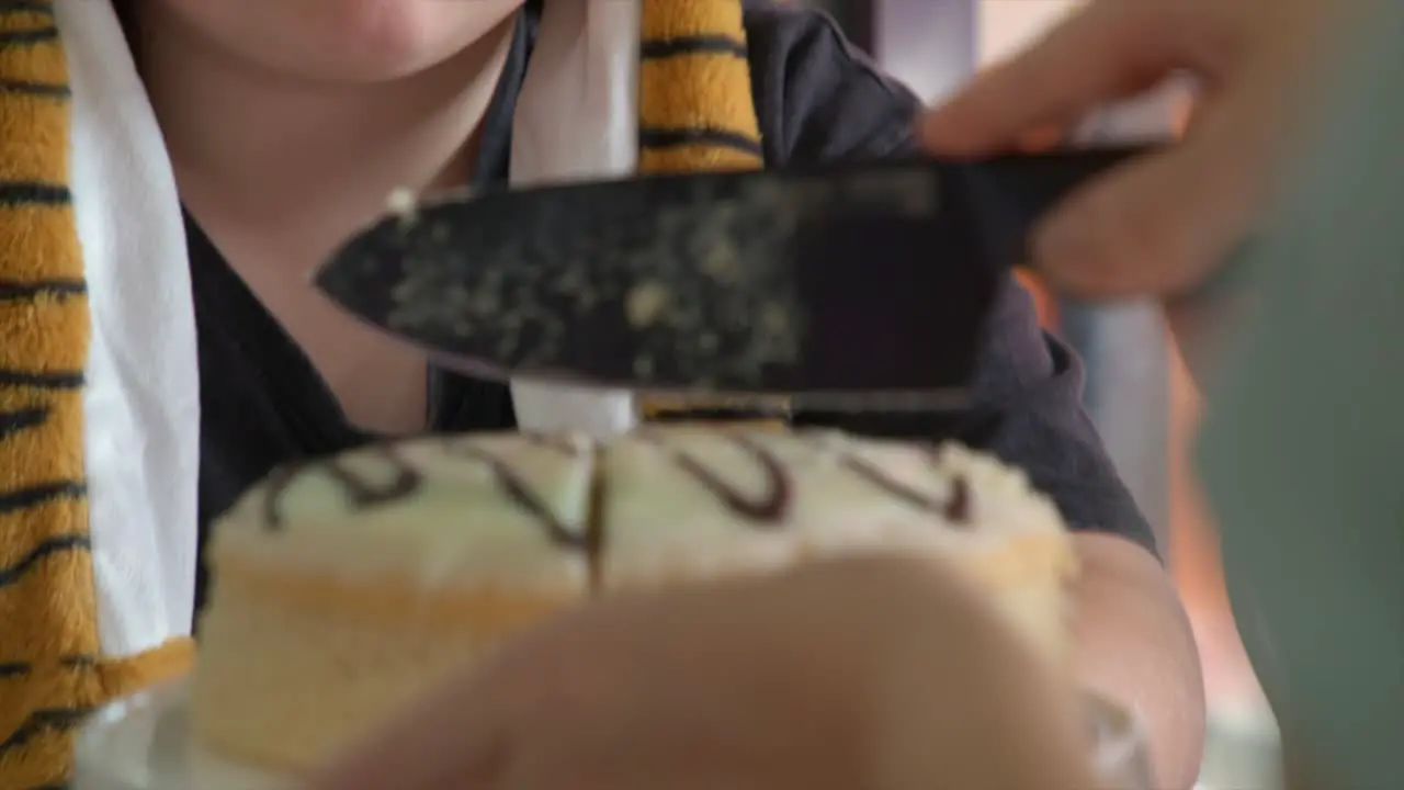 Little Girl Child Cutting Eating Birthday Party Cake Up Close Shot