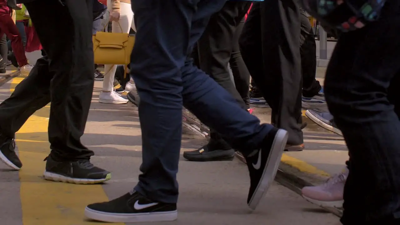 Legs of Pedestrians Crossing Road