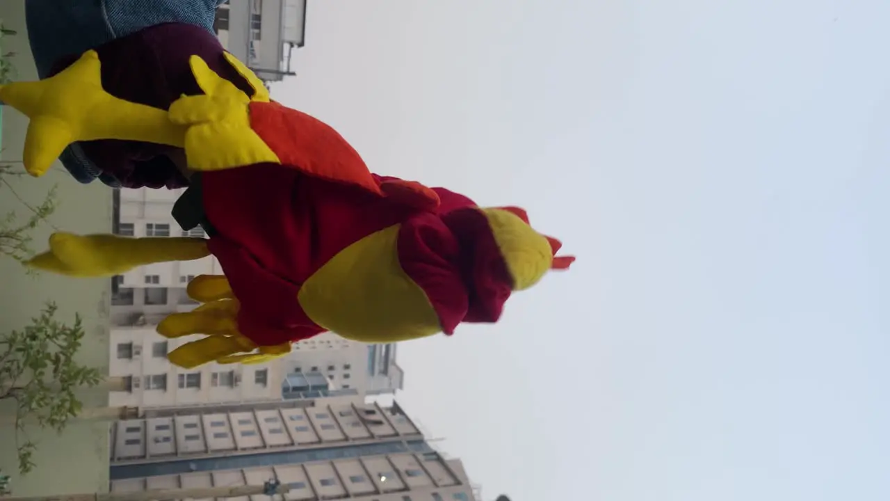 A close-up of a hand puppet of a chicken or hen