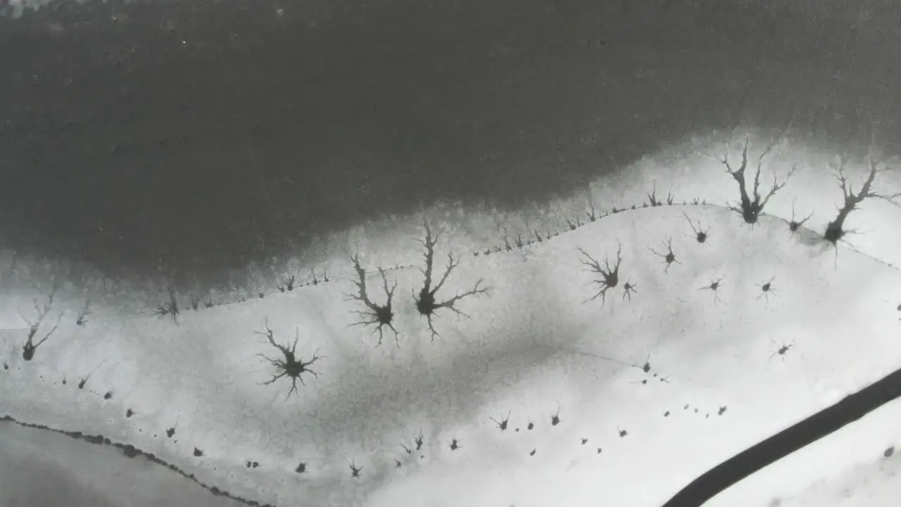 Shallow ice formations tracking sideways to show them off