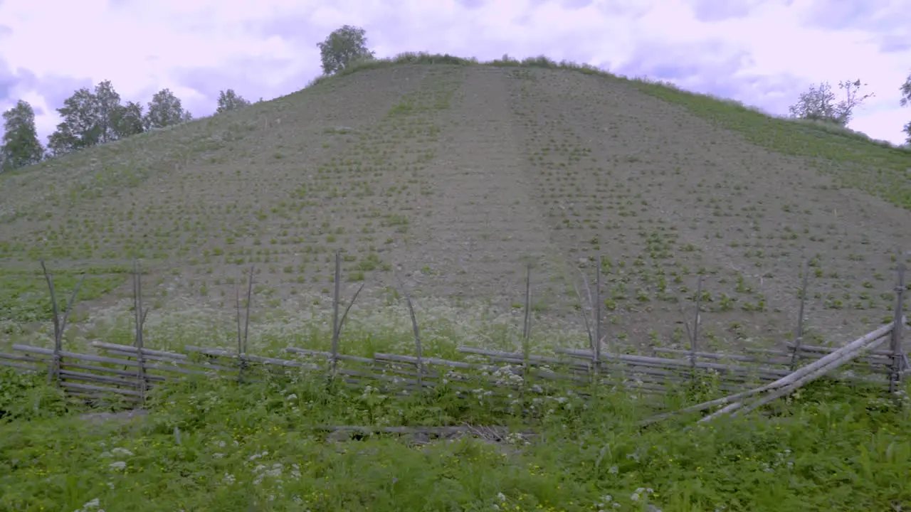 In nothern sweden there is a hill were the inhabitants are growing potatoes