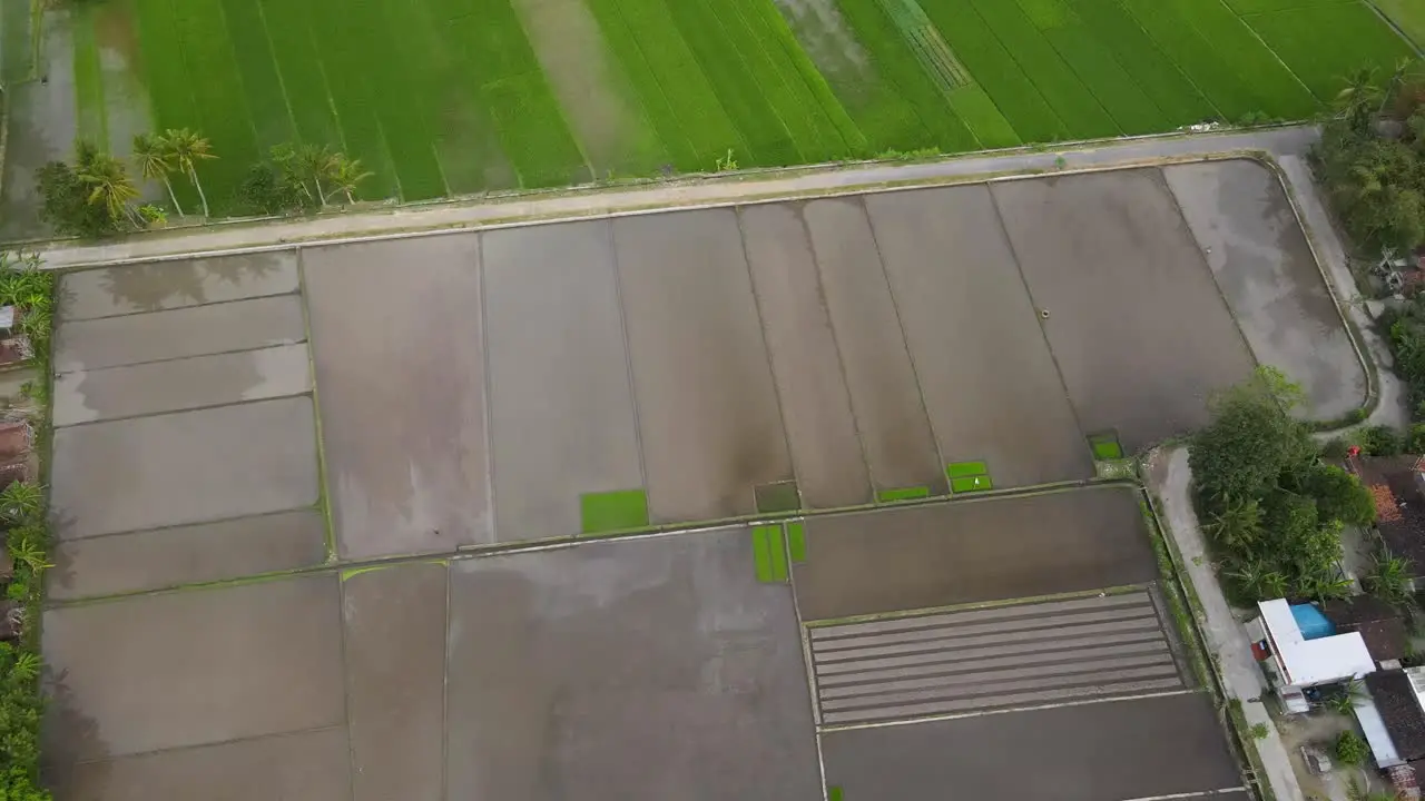 aerial view fertile rice fields and sawang fields that will be planted with rice are in Indonesia