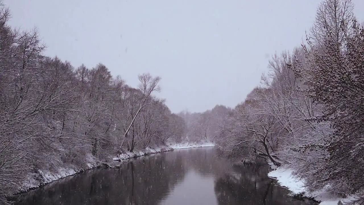 Picturesque Winter Nature Scene in Poland Forest Static Snowing Shot