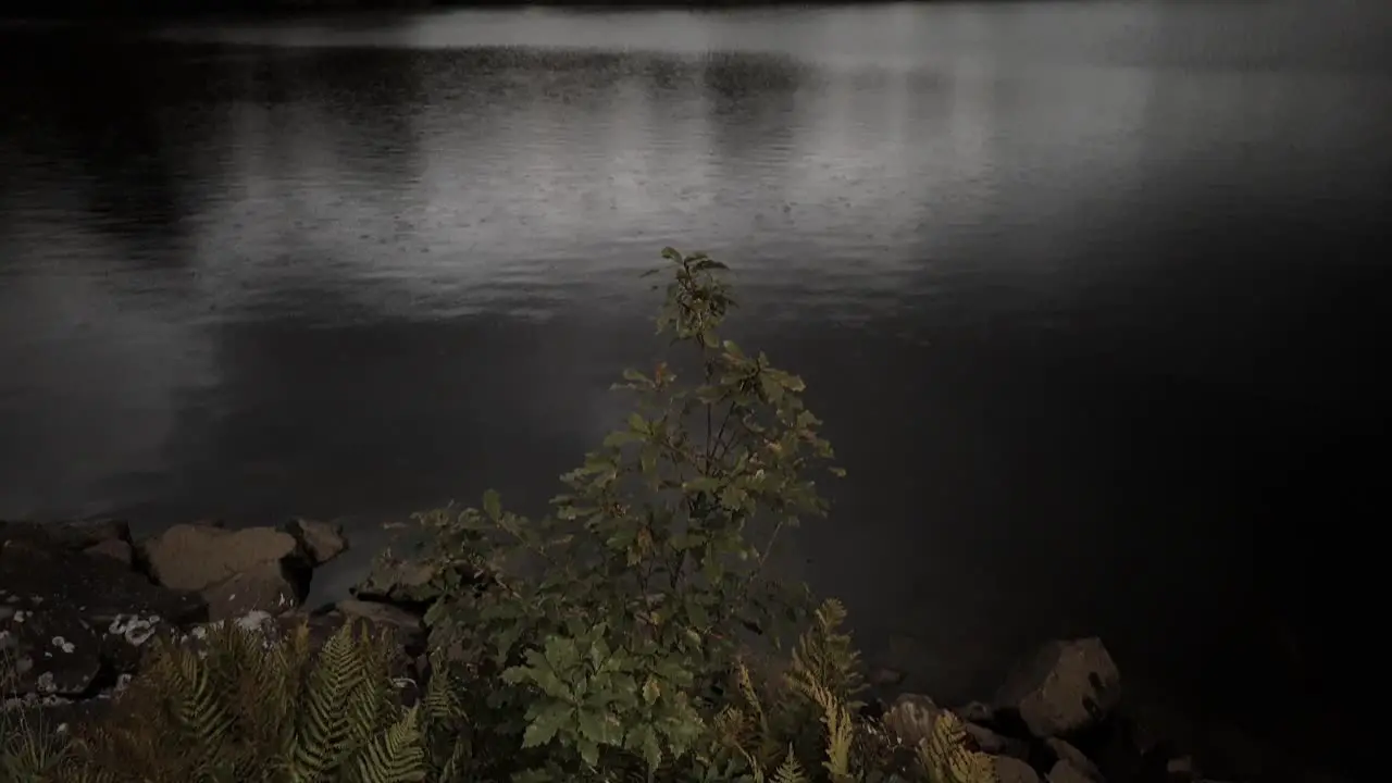 Walking through reservoir