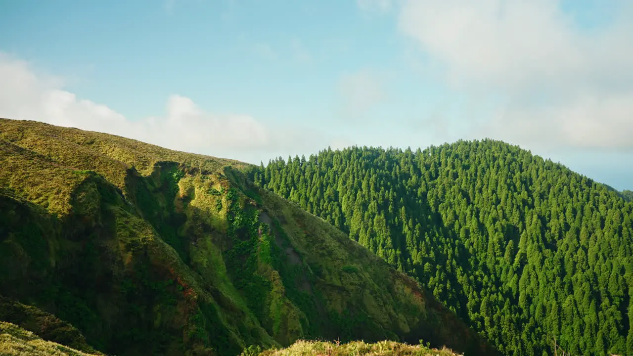 Green picturesque mountain landscape