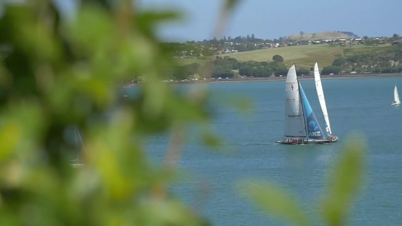 Revealing Racing Catamarans