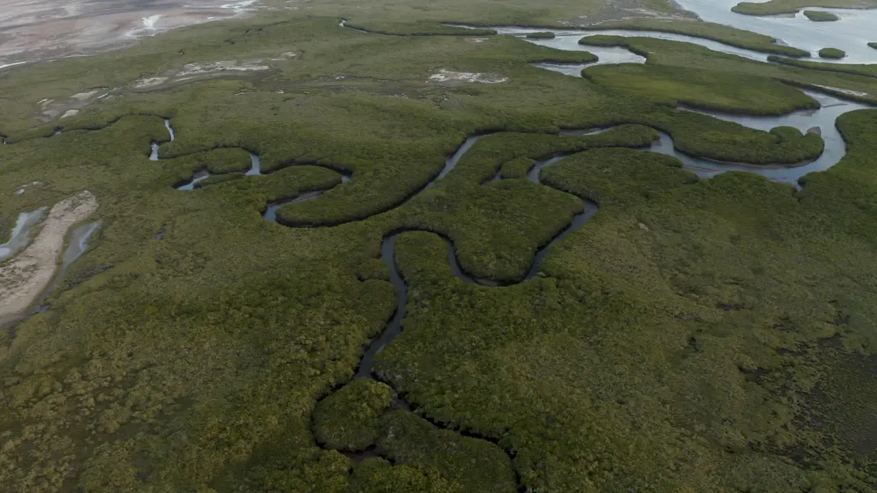 Breathtaking Nature Scenery of Rivers with Green Grasslands in Baja California Sur in Mexico Aerial Establishing Bird's Eye View